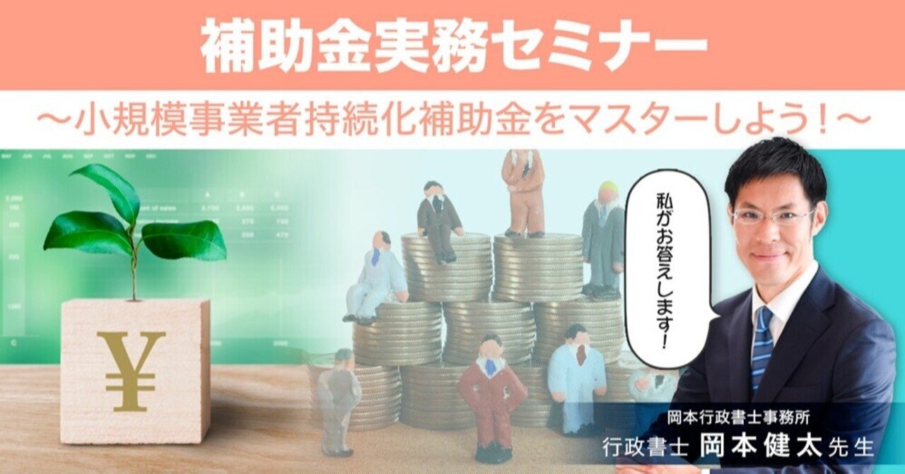 DVD3点　実例でわかる入管業務理由書　行政書士のための補助金申請実務 DVD3点 実例でわかる入管業務理由書 行政書士のための補助金申請実務
