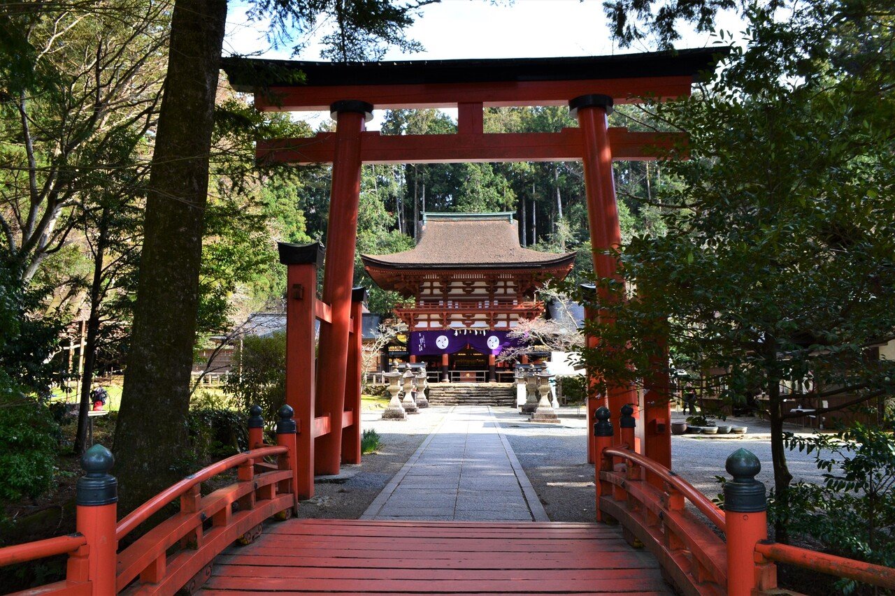 高野山の町石参詣道をぽれぽれ歩く｜走山歩れぽれ