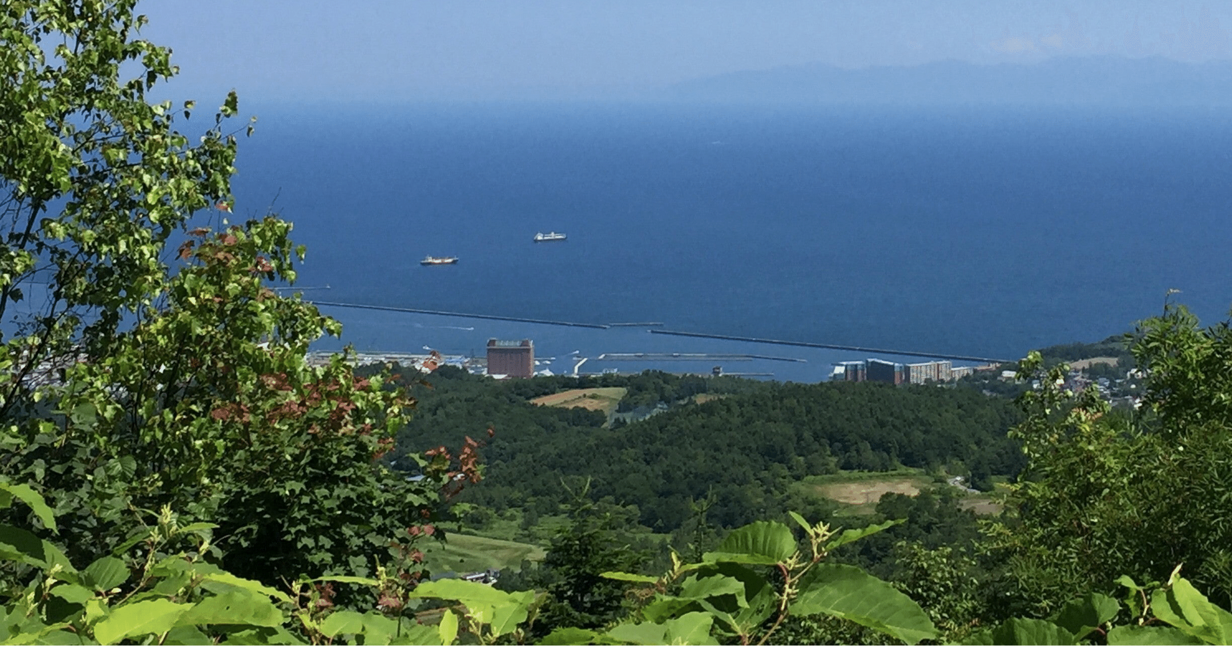 Smile Smile 歌詞耳コピ 月白あん Note