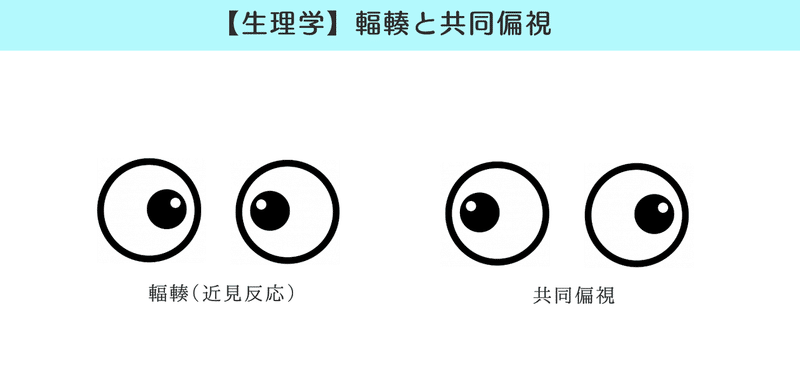 生理学 図解 イラスト とゴロで簡単 共同偏視 輻輳について の覚え方 森元塾 国家試験対策 Note