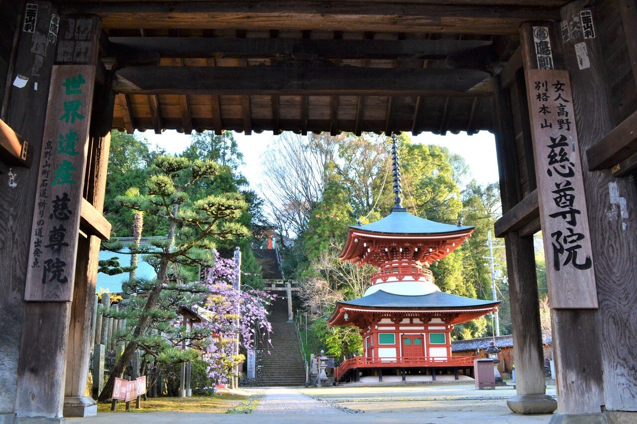 高野山の町石参詣道をぽれぽれ歩く｜走山歩れぽれ