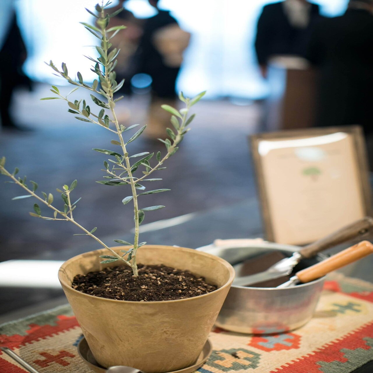 Weddingで植樹の儀｜RIVER BANK OSAKA（リバーバンク大阪）