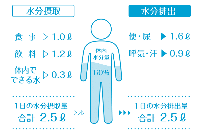 人間が1日に必要な水分量の図