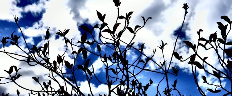 【写真】雲を掴むような【青いnote】