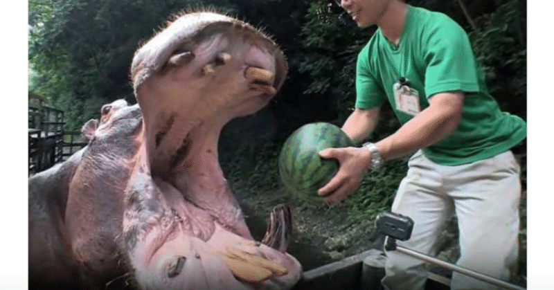 ひろゆき 花粉症対策やってる ひろゆき Youtube 文字起こし Note