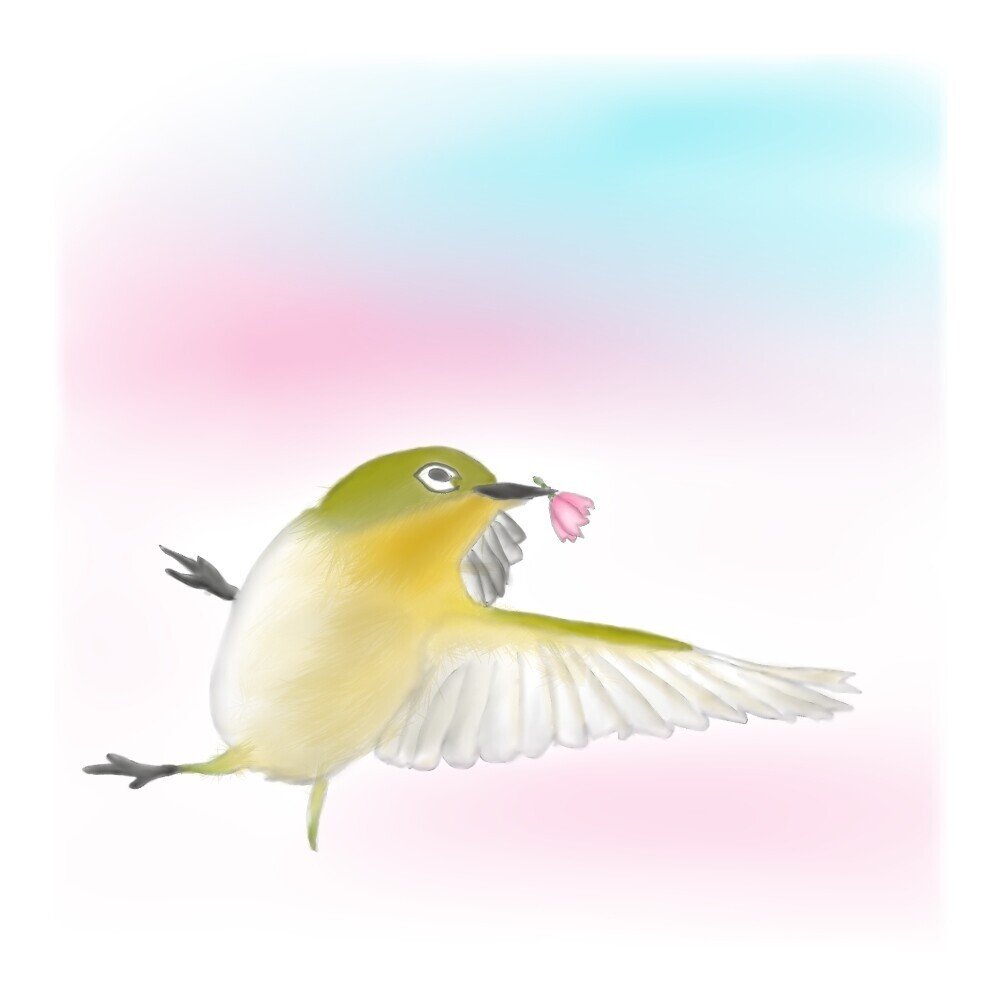 いつもお世話になっている方に うぐいすを描いて見て頂きました とても喜んでもらえたのですが 鳴き声 を聴きたくなったね と笑顔で言われました その方は昔 実家の庭先でうぐいすの鳴き声を聴いてはこの季節を感 いろどりあつめ Note