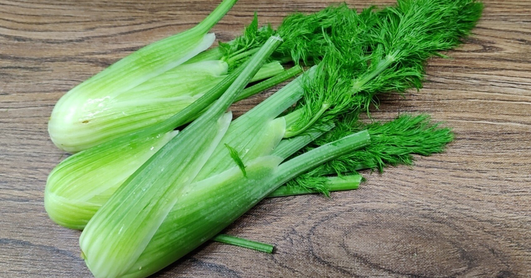 日本生まれのイタリア野菜 スティッキオ 修家大雄 レストラン ラ フェ Note 日本生まれのイタリア野菜 スティッキオ 修家大雄 レストラン ラ フェ Note