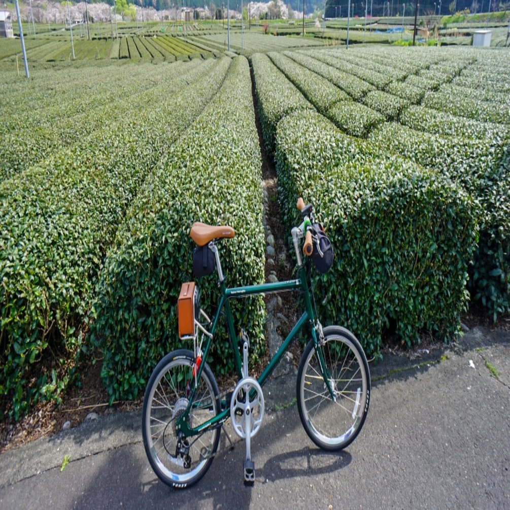 ポタリングが快適なDE03｜スルガ銀行サイクリングプロジェクト