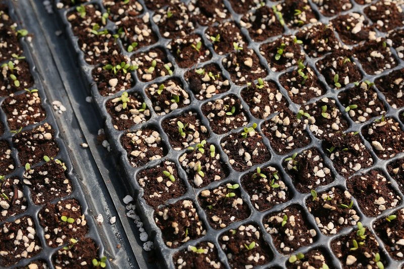 一瞬 一日 一年を生きる 藍屋テロワール Note