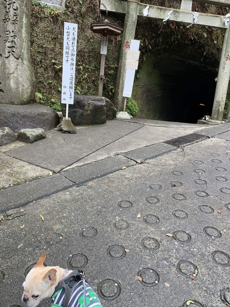 3 28 鎌倉 熱海来宮 犬散歩 あらだい Note 3 28 鎌倉 熱海来宮 犬散歩 あらだい Note