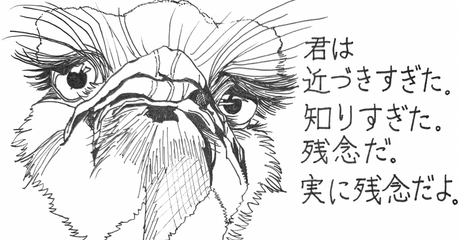 日本人の普通をこの子に押しつけたらかわいそう エンタメ作家okaraさんがマレー人医師に言われて気づいた大切なこと アマンダ Note 日本人の普通をこの子に押しつけたらかわいそう エンタメ作家okaraさんがマレー人医師に言われて気づいた大切なこと アマンダ Note