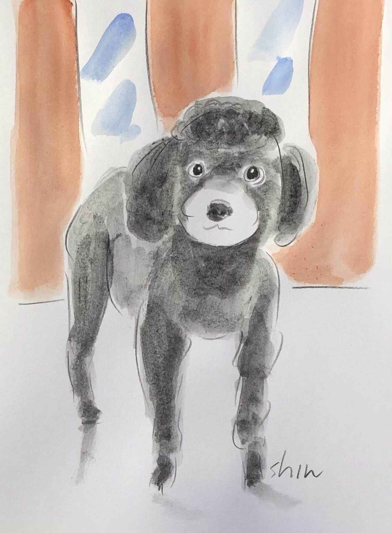 我が家の愛犬 Shin Note 我が家の愛犬 Shin Note