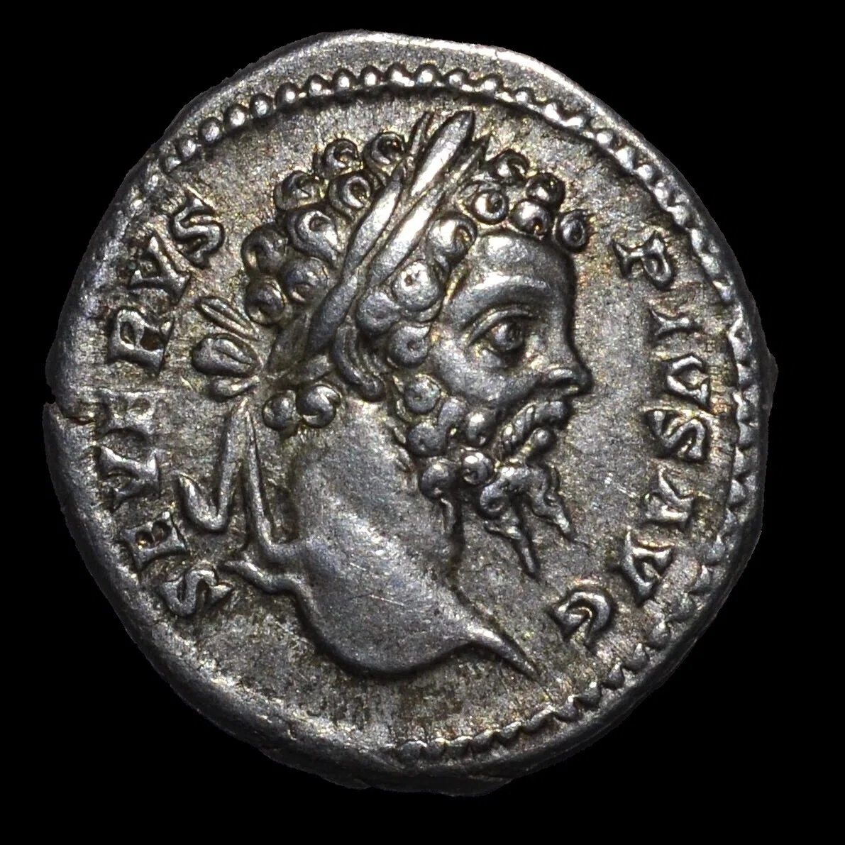 アンティークコインの世界 ｜ 古代ギリシア・ローマコインを鑑賞する