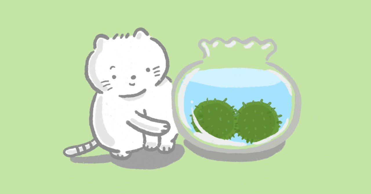 マリモの日 もこ Note マリモの日 もこ Note