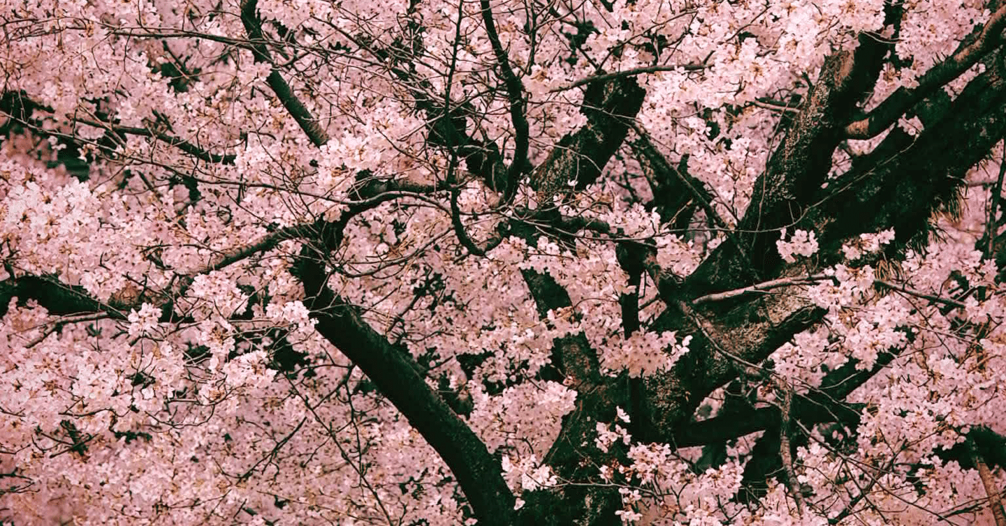 Gas Google Apps Script 活用事例 スプレッドシートのコピー時に不要なシートを一括で削除 するスクリプト Nepia Infinity Note