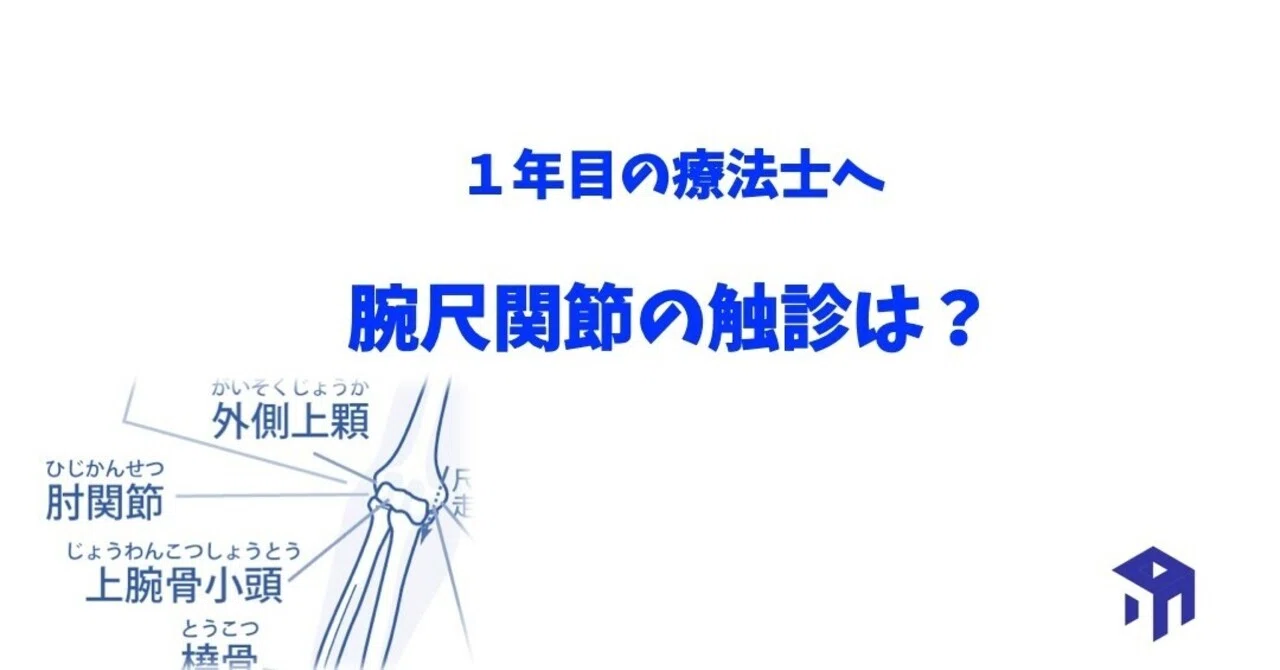 腕尺関節の触診 加藤淳 Note