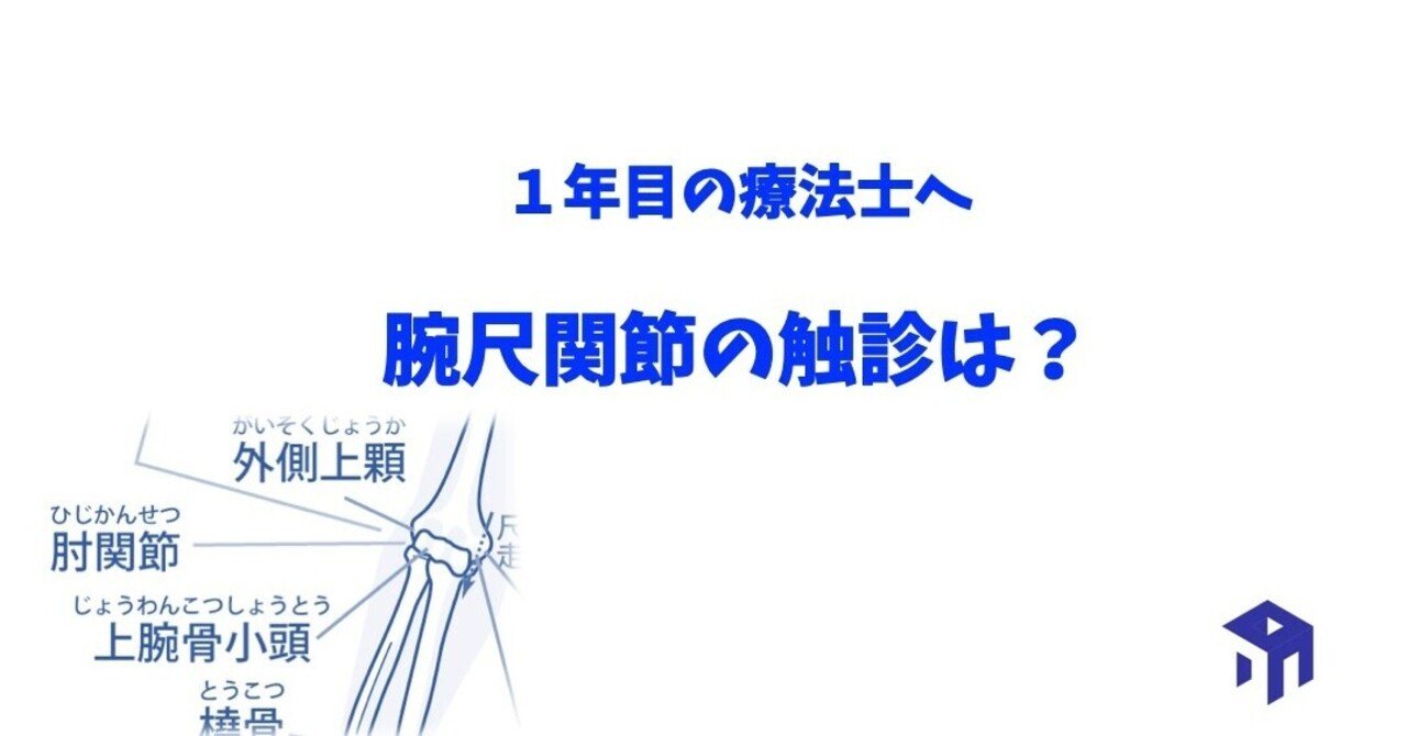腕尺関節の触診 加藤淳 Note