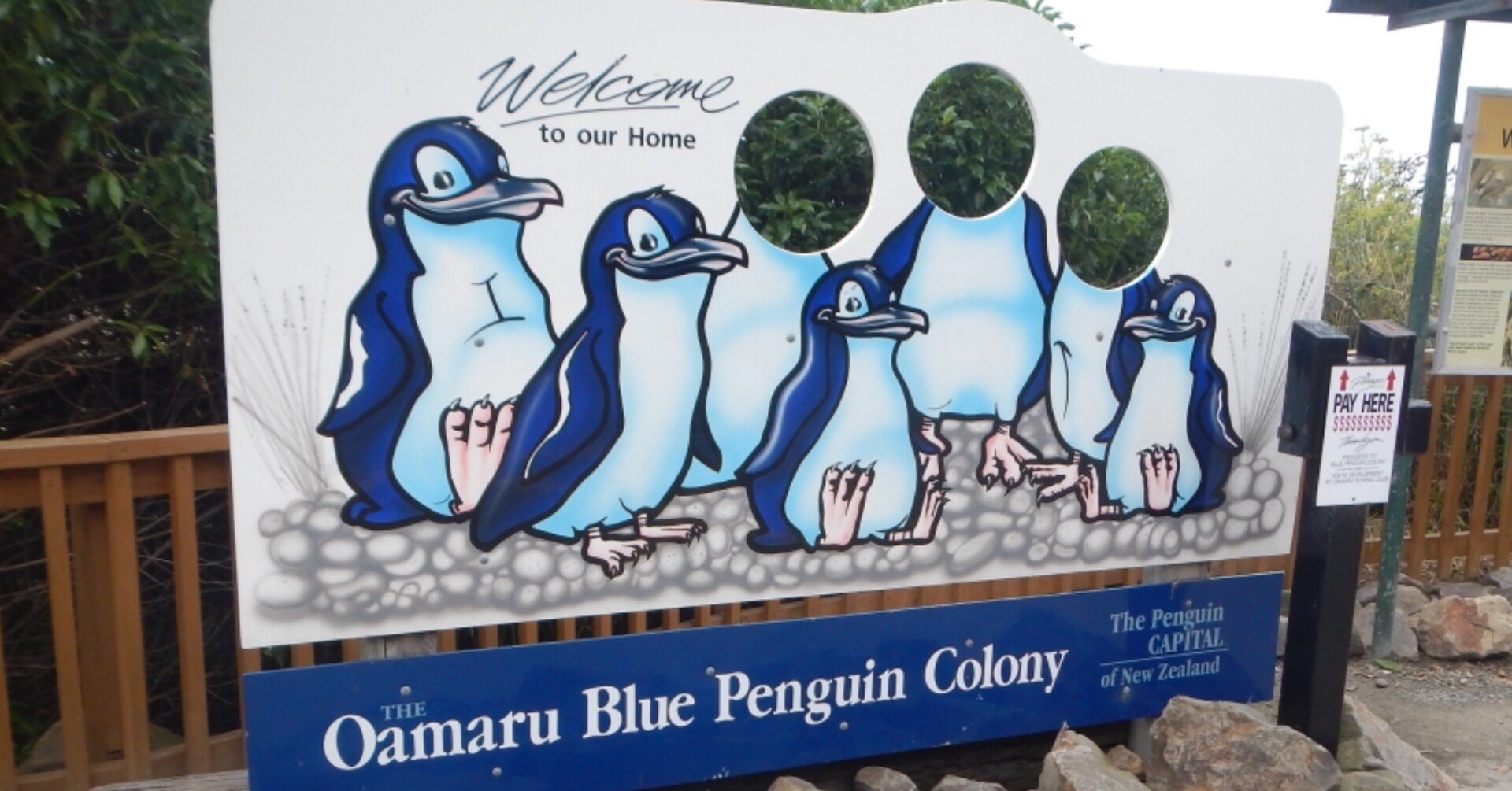 d21cd3d4b03534f6f70536e67a5179