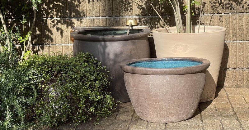 屋外飼育 金魚 Mamama Note