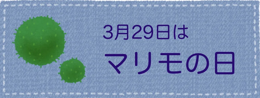 今日は何の日 おはようございます 今日 3月29日は マリモの日です 1952年のこの日 北海道 阿寒湖のマリモが国の特別天然記念物に指定されました マリモは １８９７年に札幌農学校の本科生だ ウィトゲンシュタインズ Note