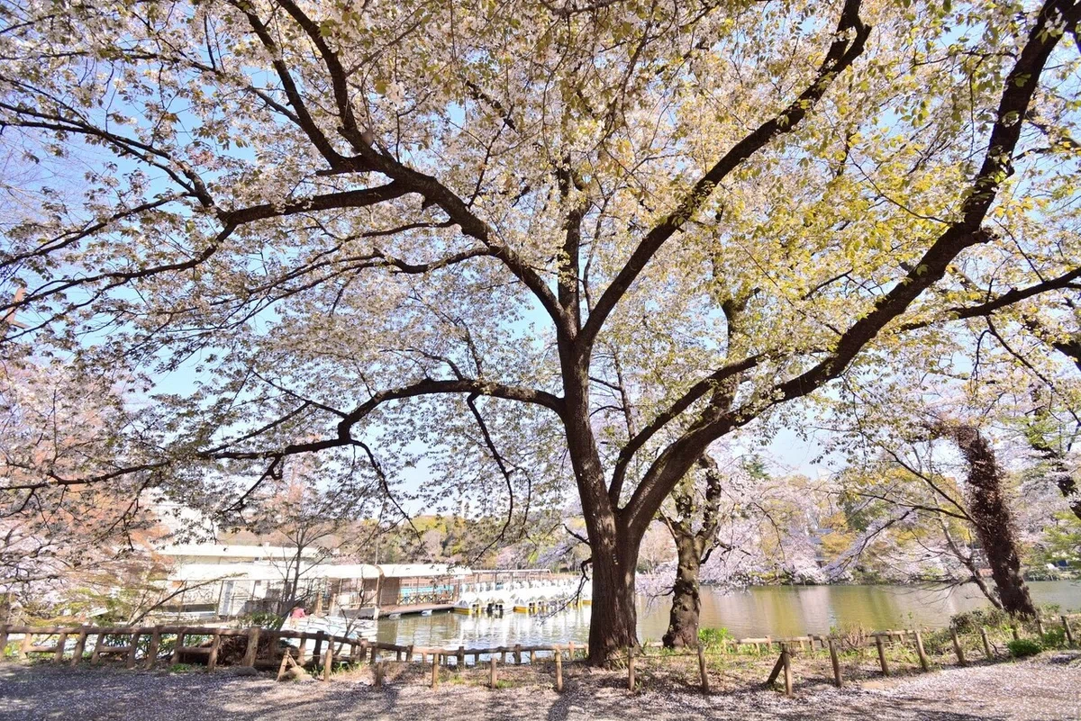 画像9