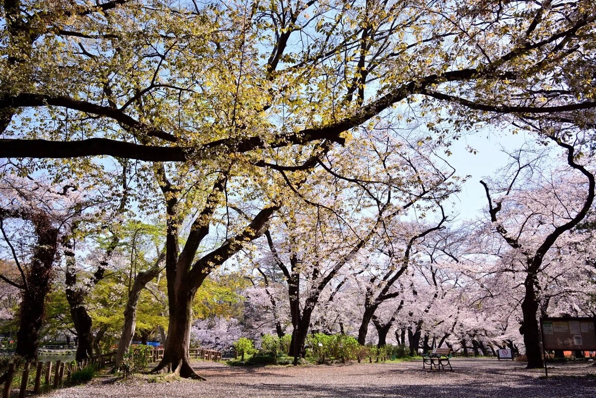 画像10