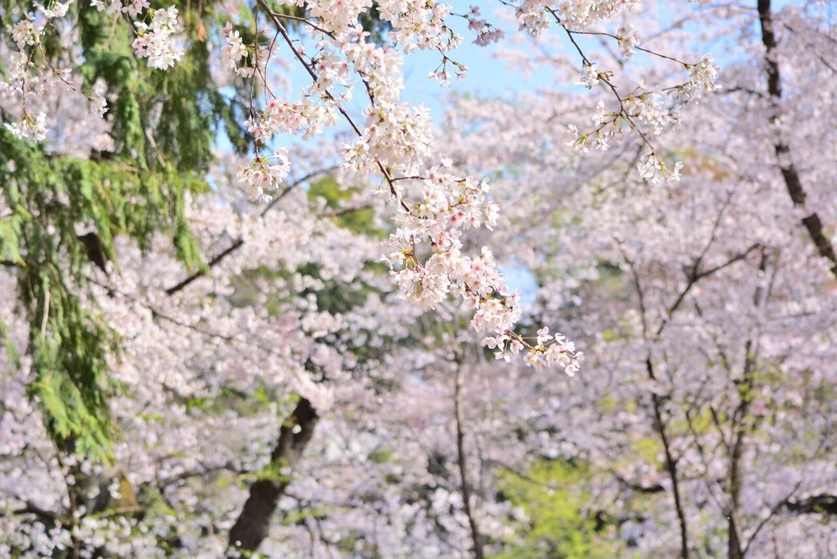 画像14