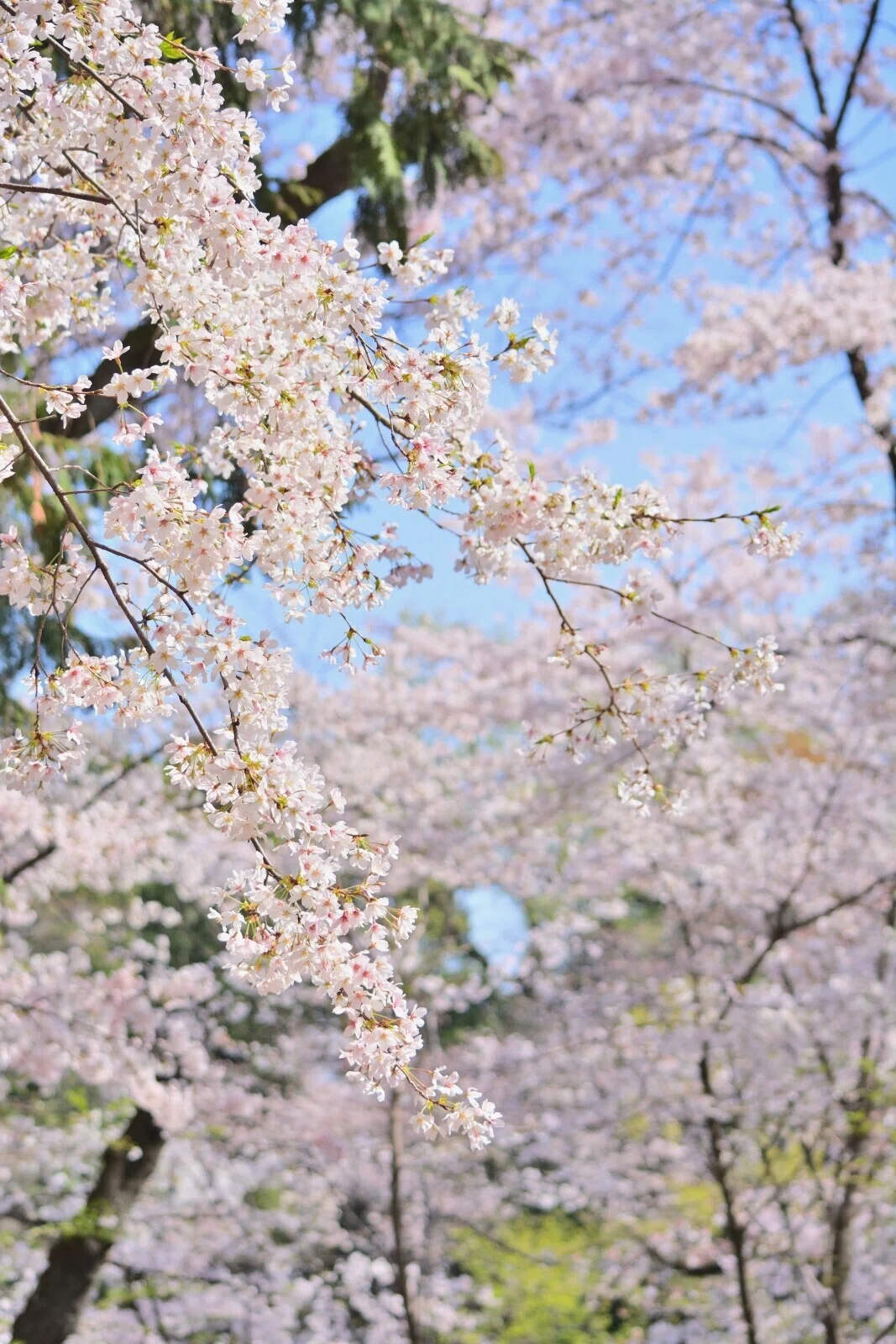 画像15