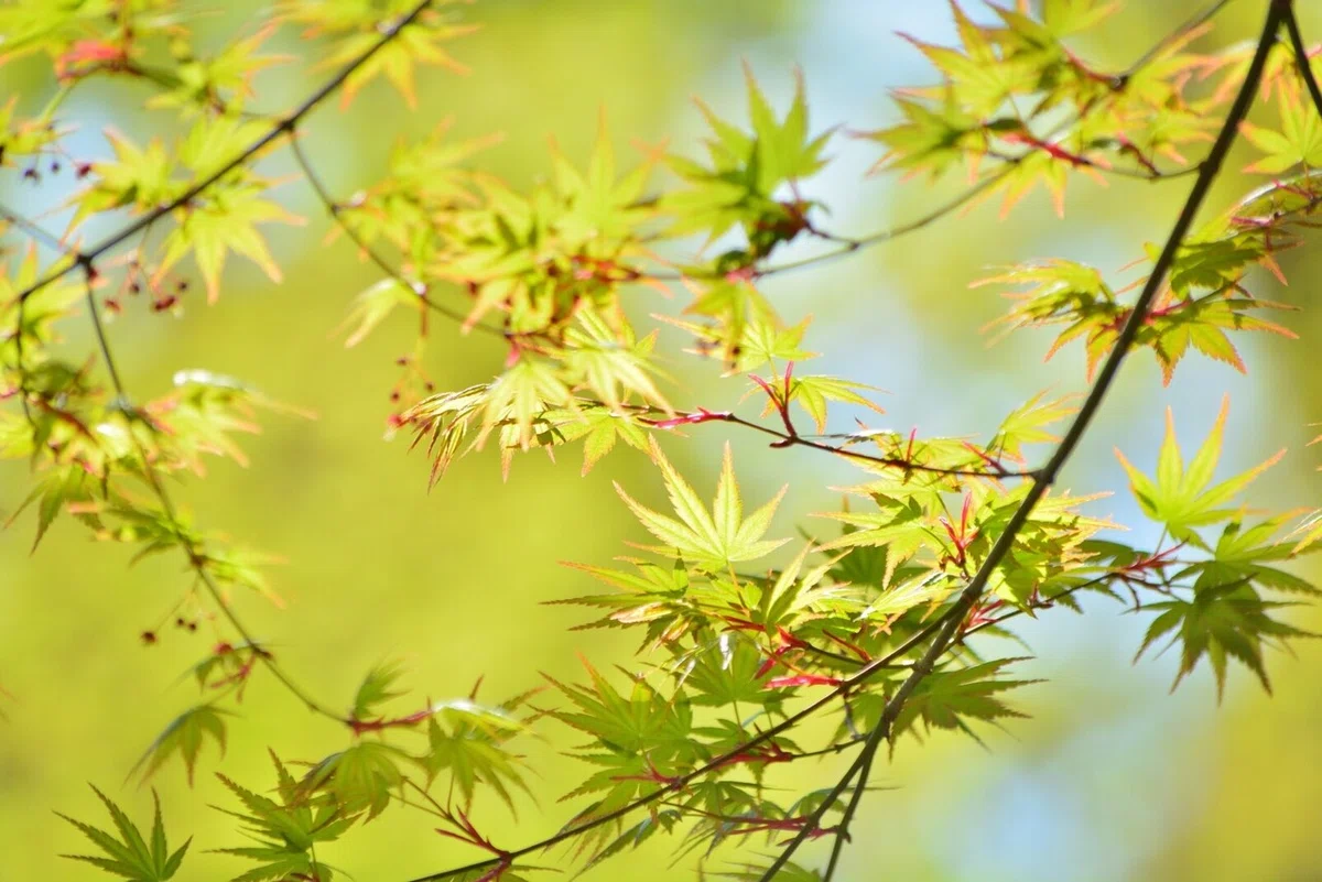 画像29