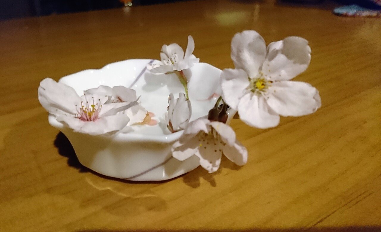 桜折るバカ 梅折らぬバカじゃあなかった マカピーな日々 0359 マカピー Note