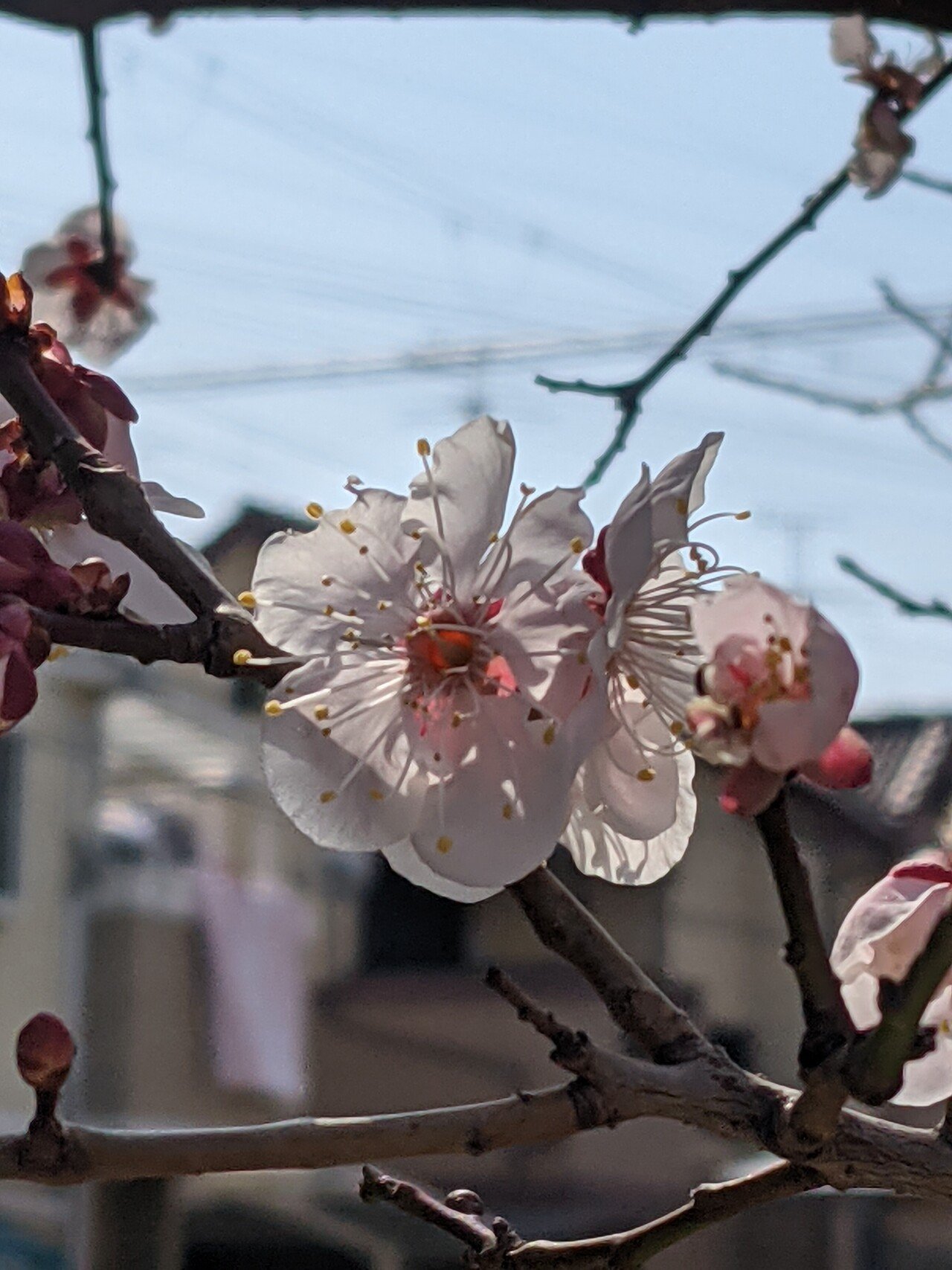 お昼 コンビニ行ったらどうやら大学生のアルバイトさんが卒業 バイト先のコンビニを退職されるようで 先輩がお見送り 儲かったら うちに沢山買いに来てな 何かほっこりするお話 Lighting Office J Dragon 代表 Ohbayashi Ryuji Note