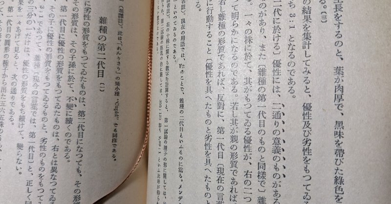 メンデル の新着タグ記事一覧 Note つくる つながる とどける