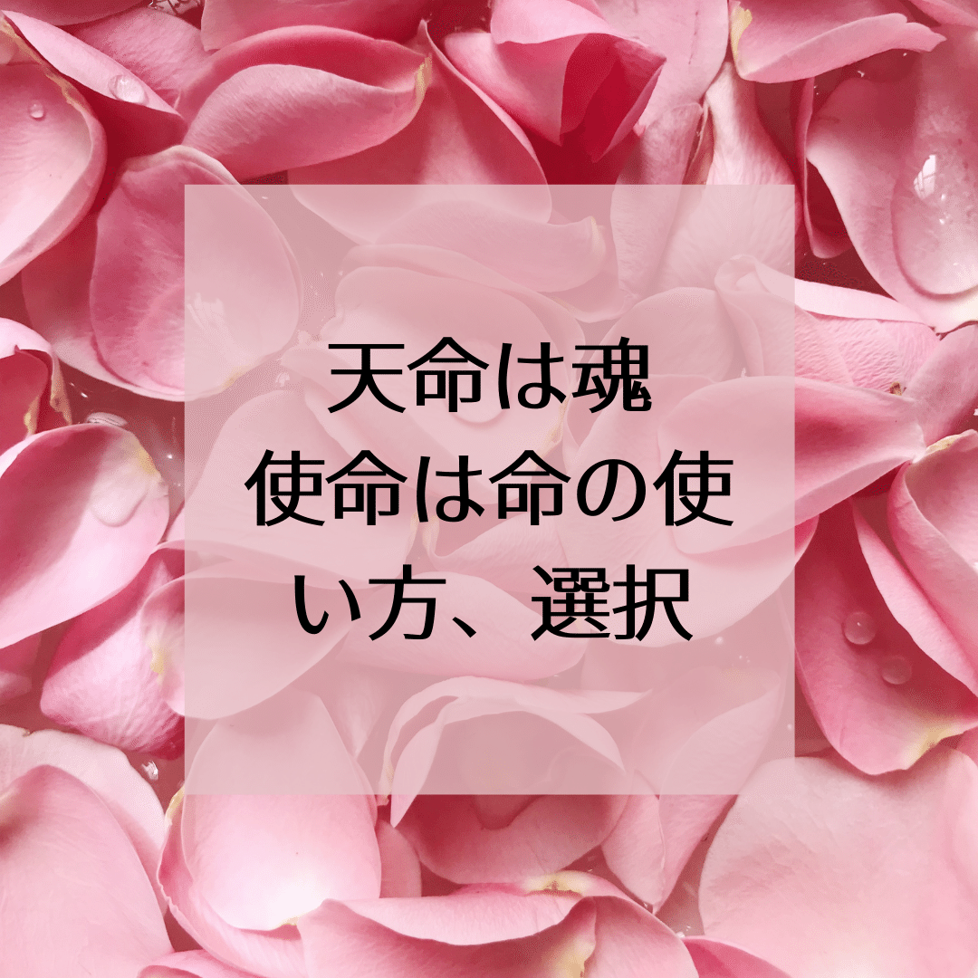 天命は魂 使命は命の使い方、選択