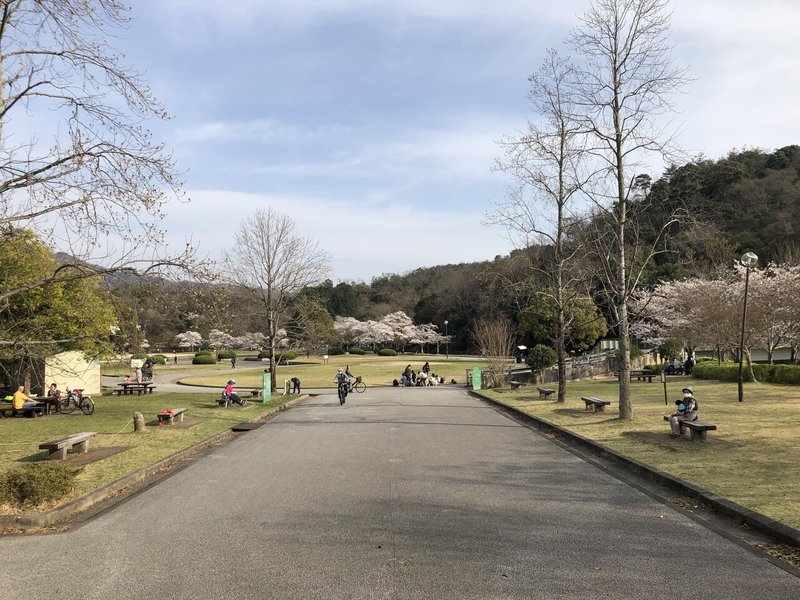 セイカ大学入門シリーズ 一人暮らしエリア 国際会館 京都精華大学 Note