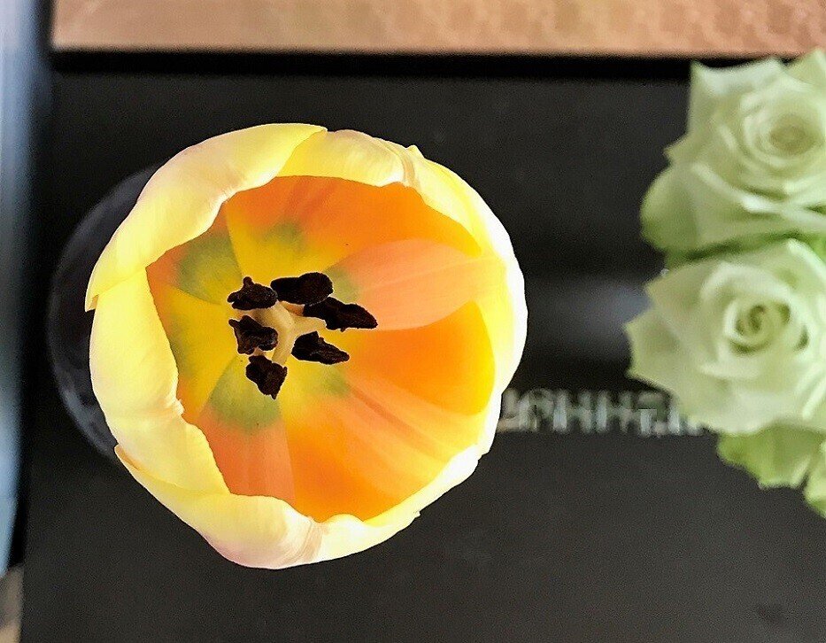 💐おうち活け花 ～チューリップ編（マリット、マリアージュ、ブルー