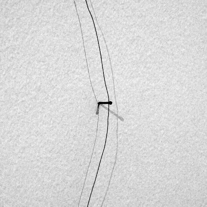 今日のアート）リチャード・タトルのWire Piece とは｜artoday