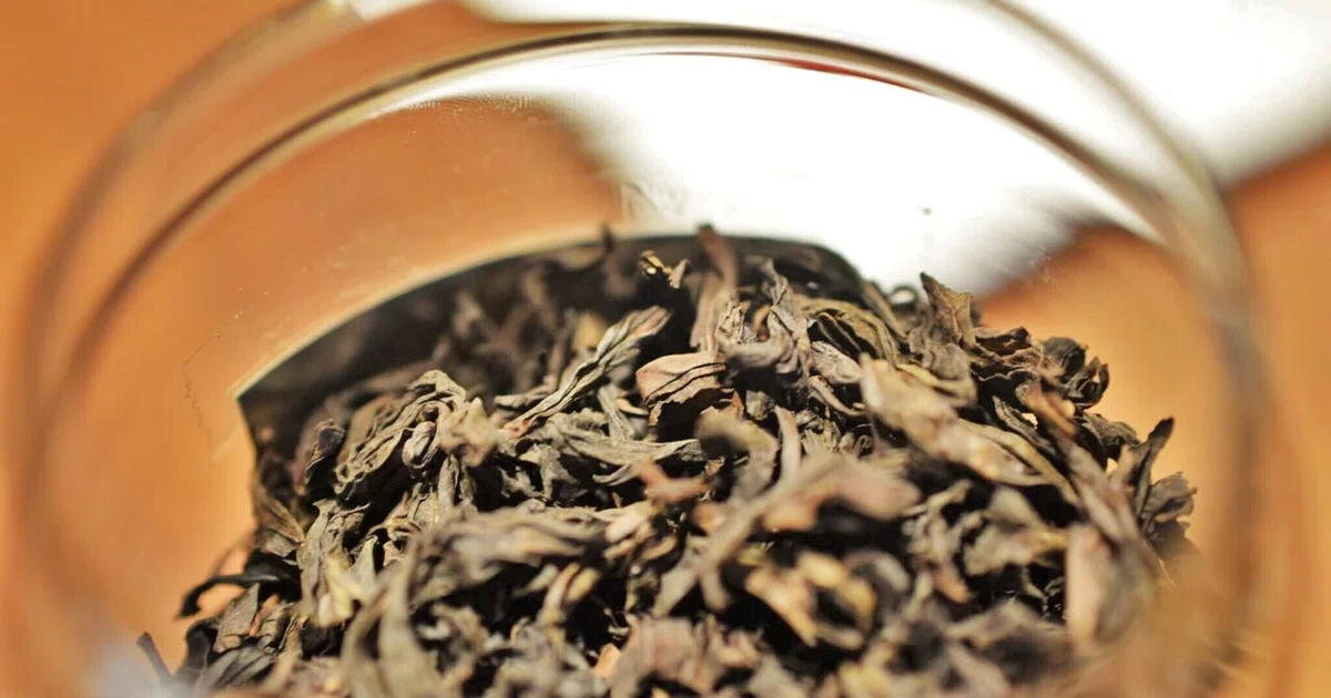 [Chinese Tea Column] 6. About Oolong Tea (Qingcha)｜Marina Fujimoto