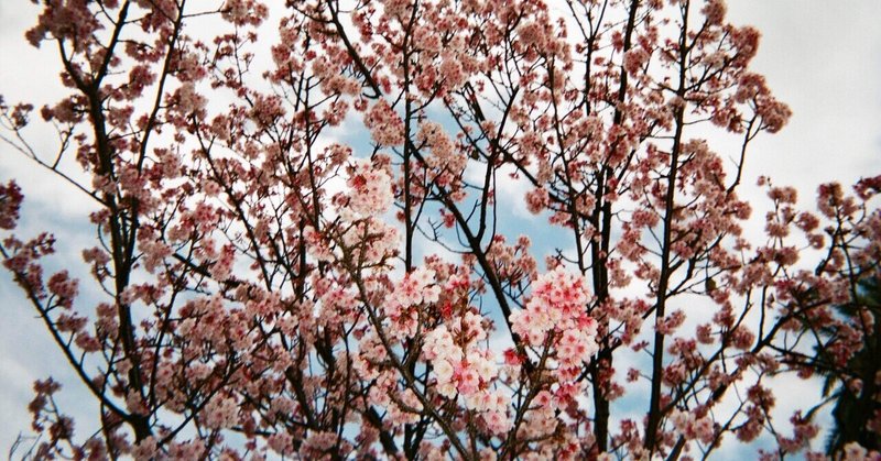 お別れの季節ですが よんぴ Note