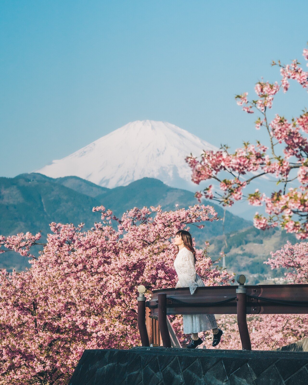 Lightroomプリセット-01 sakura｜Mizüki