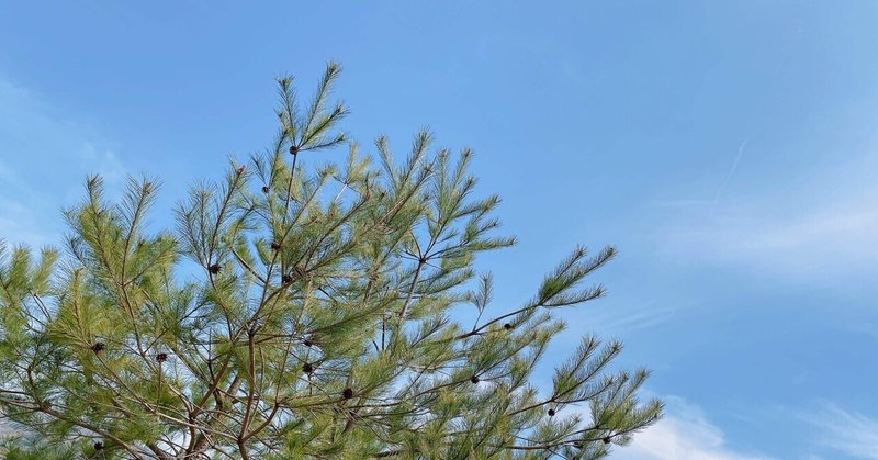 友達ってどこから の新着タグ記事一覧 Note つくる つながる とどける