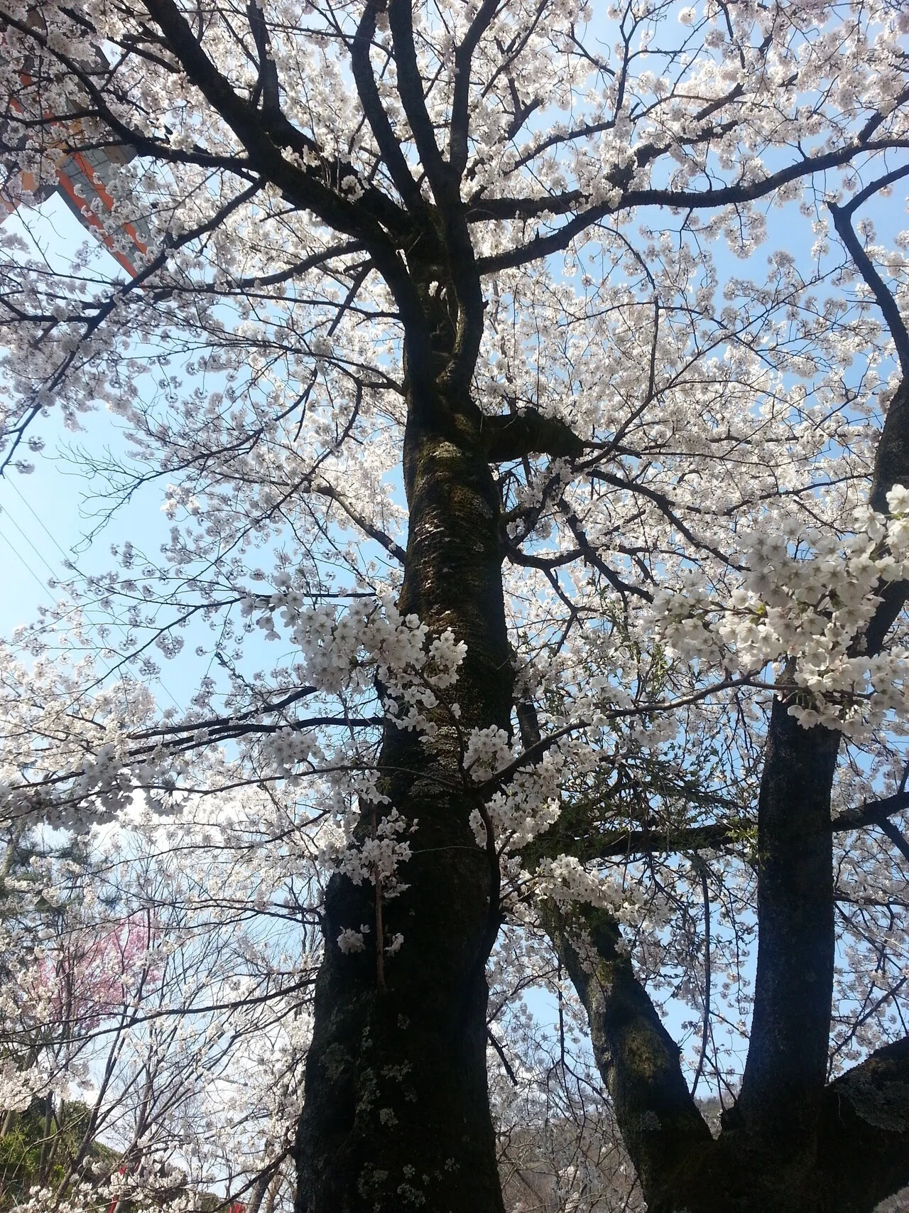 画像13
