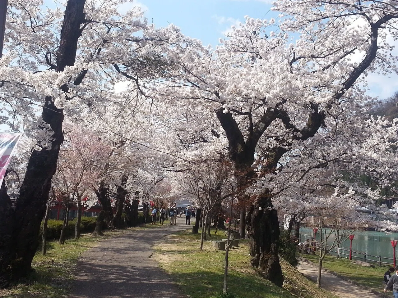 画像14