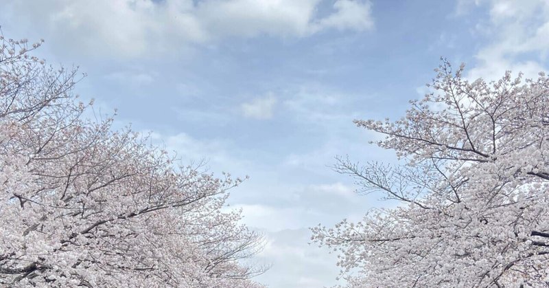 ショート・ショート「桜」