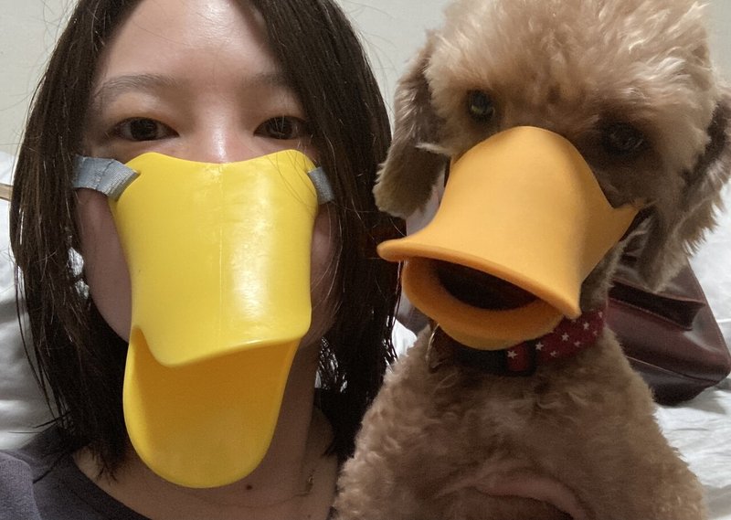 アヒルの犬か アヒルの人か もうあかんわ日記 岸田 奈美 アヒルの犬か アヒルの人か もうあかんわ日記 岸田 奈美
