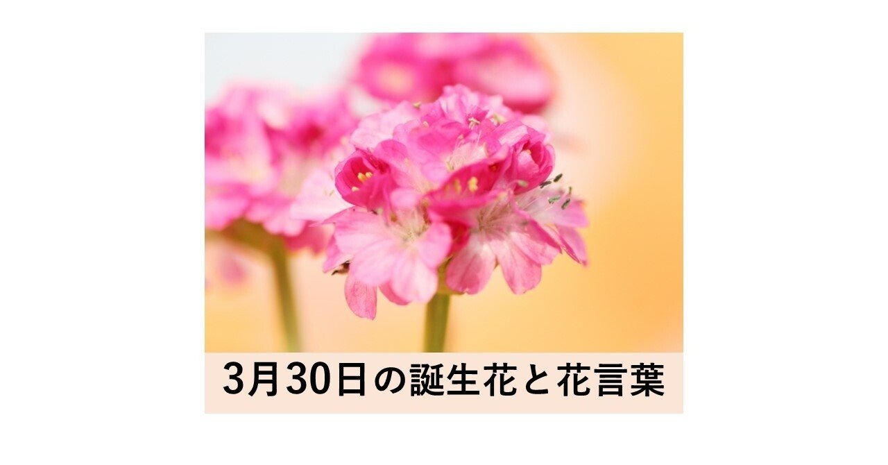 3月30日の誕生花と花言葉 北島 和泰 志茂 Note
