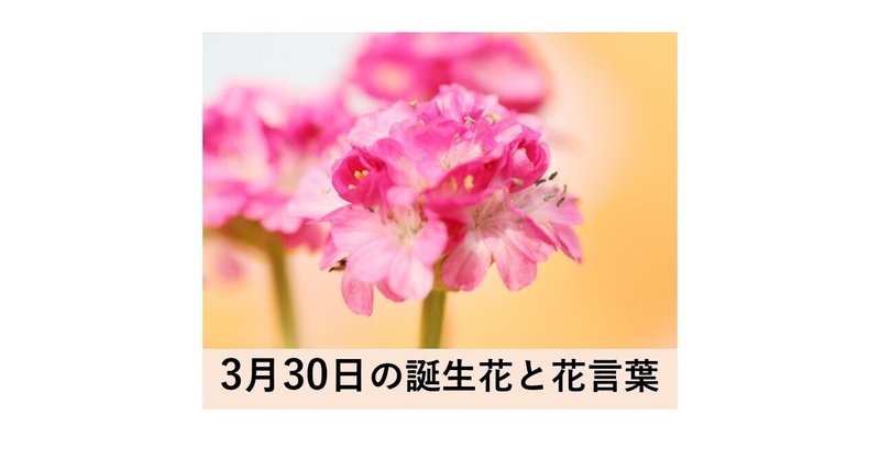 3月30日の誕生花と花言葉 北島和泰 志茂 Note