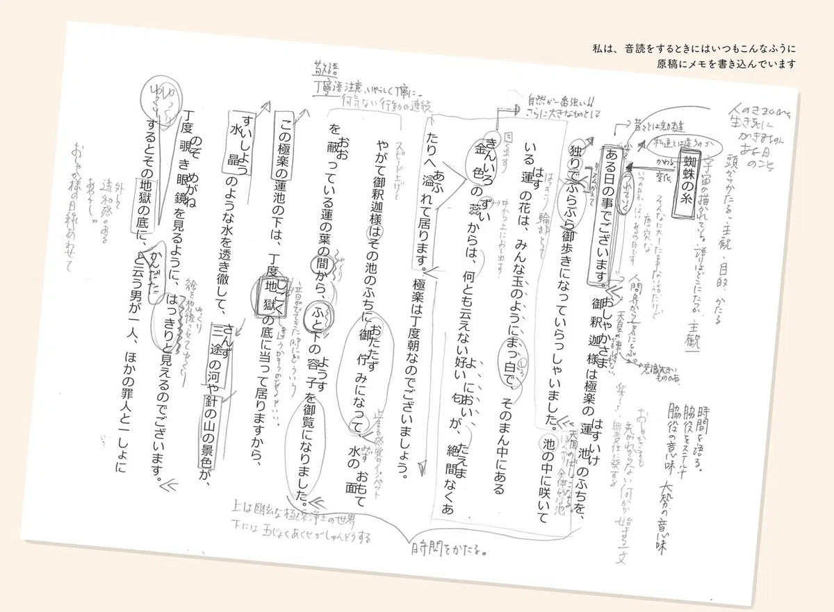 画像13