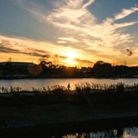 東京カメラ部で公式にシェアされる確率を上げるための方法 Kentanahashi Note