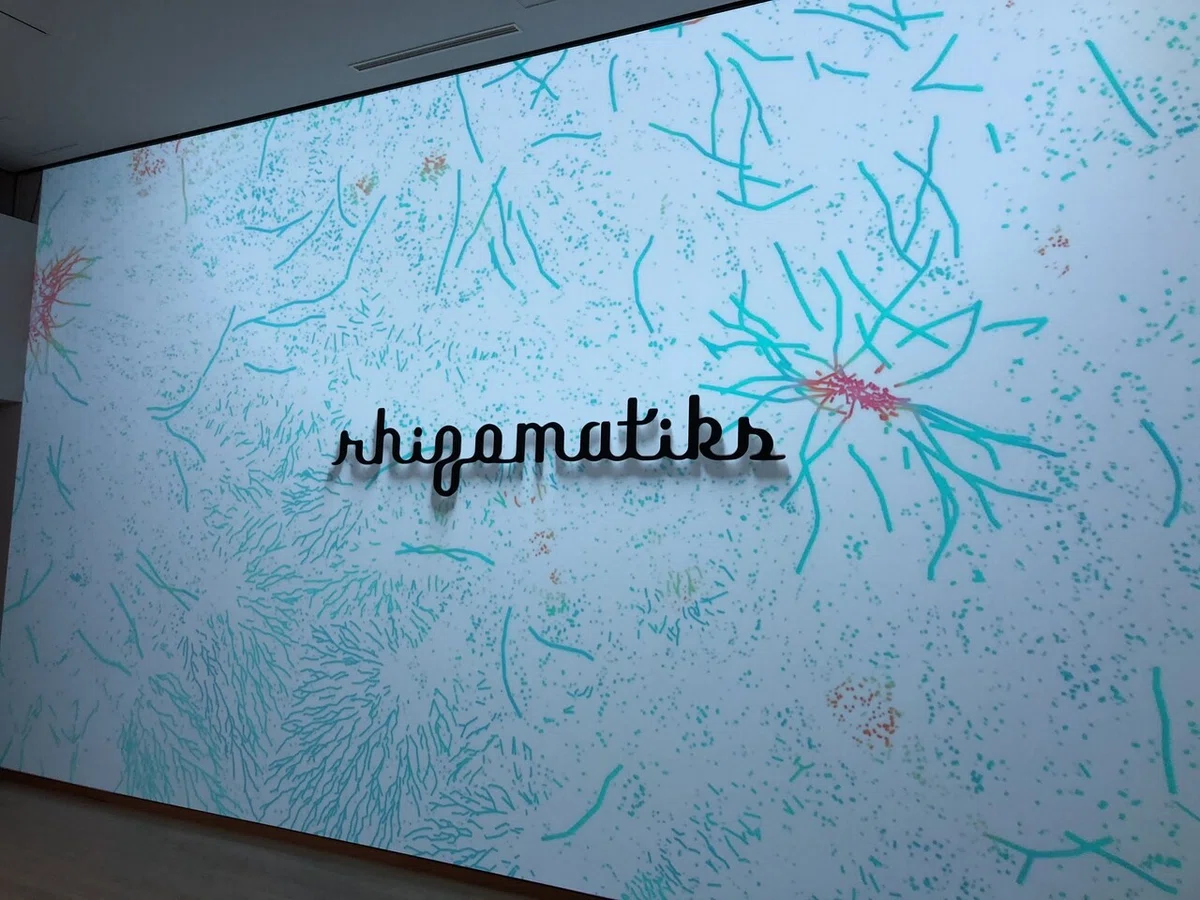 画像12