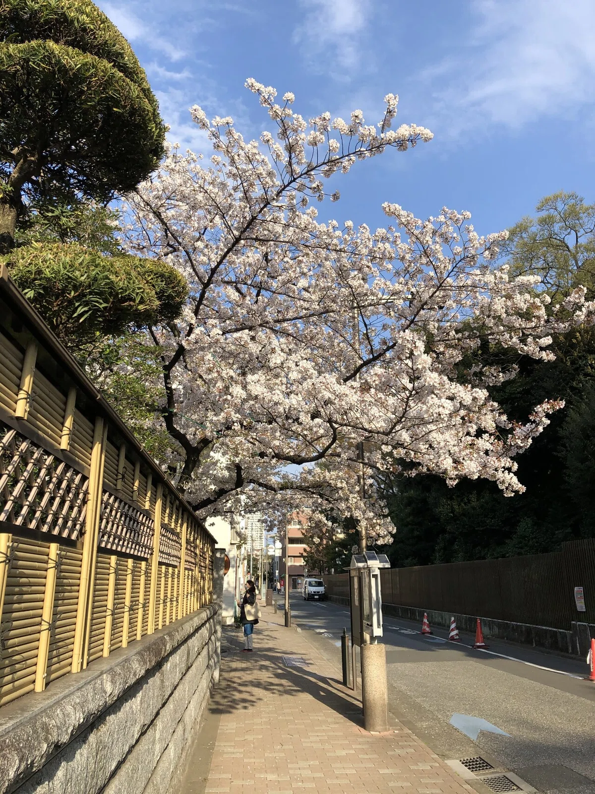 画像13
